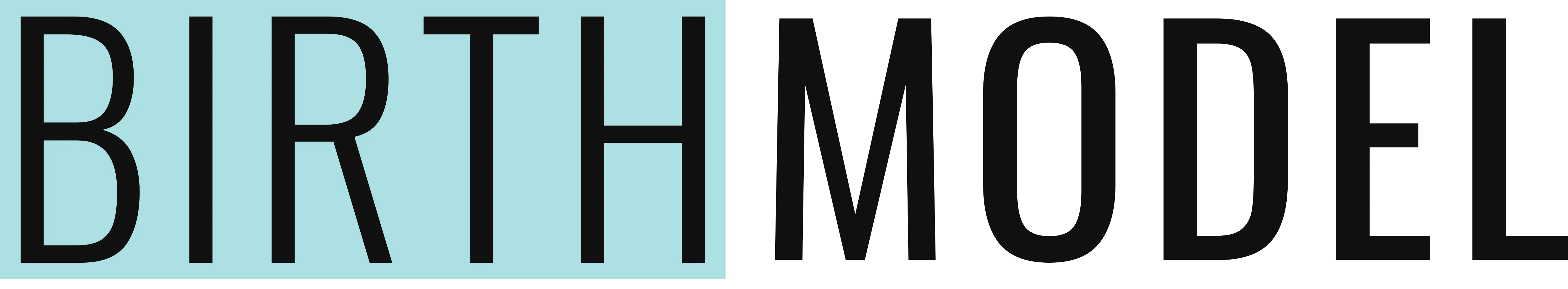 Birth Model logo