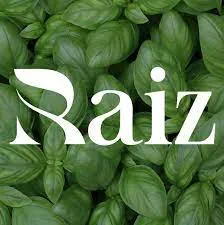 Raiz logo