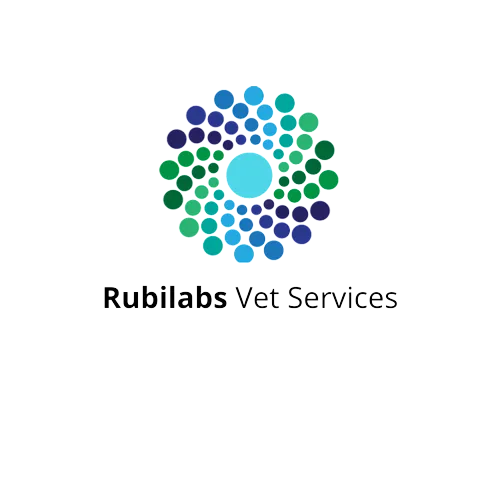 Rubilabs logo