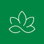 Saatvy logo