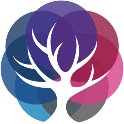 Saeidan logo