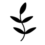 Thyme logo