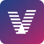 Vizy logo