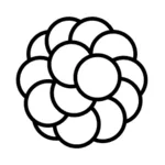 Xeol logo