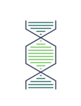 Yemaachi Biotechnology logo